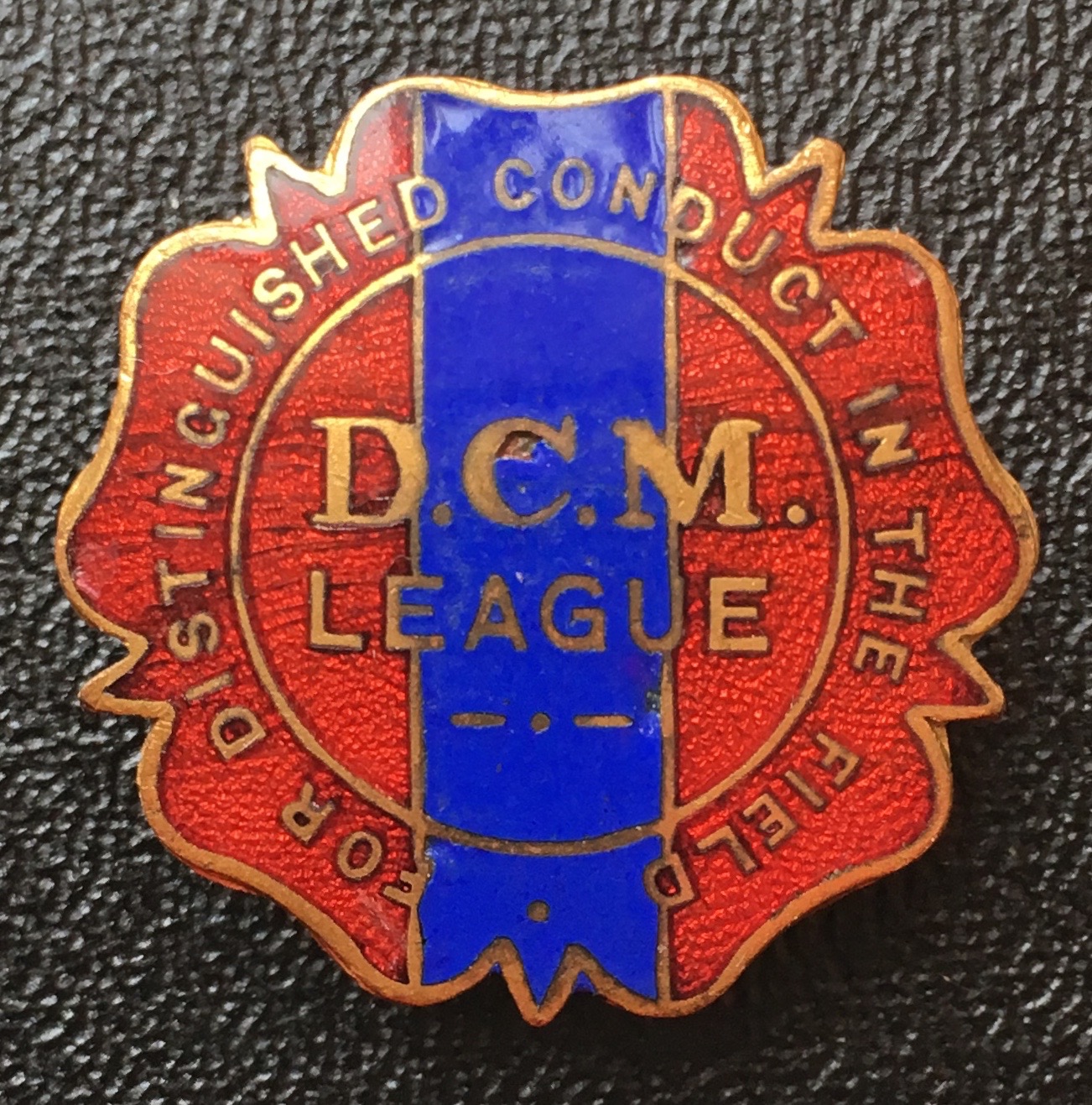 DCM League lapel badge